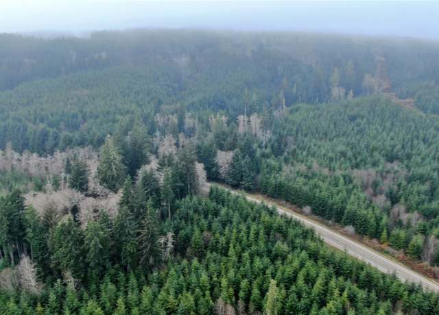 Property at 0 M.P. 1 State Route 107, Cosmopolis, WA 98537