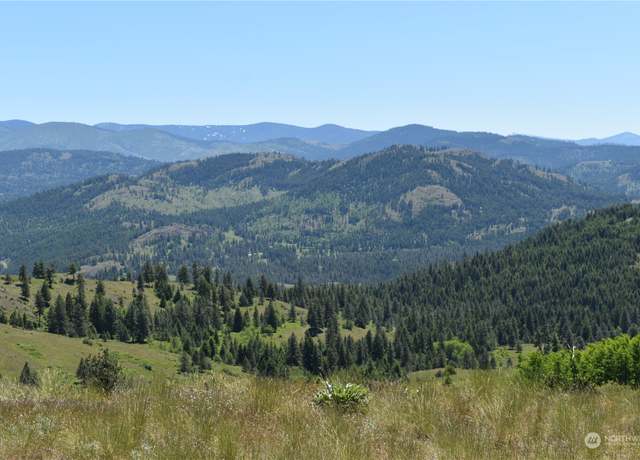 Property at 0 TBD McQuinn Rd, Malo, WA 99250