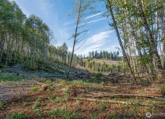 Property at 217 Deer Fern Ln, Longview, WA 98632