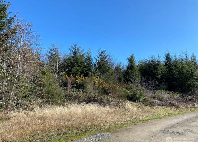 Property at 23800 Elm (across from 23804), Ocean Park, WA 98640