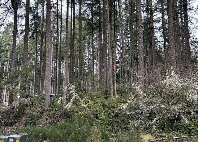 Property at 12023 Sound Dr, Anderson Island, WA 98303