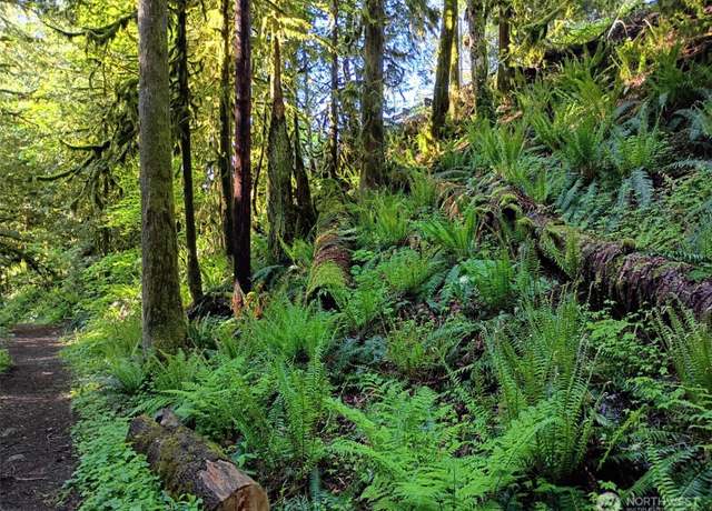 Property at Undisclosed address, Maple Falls, WA 98266