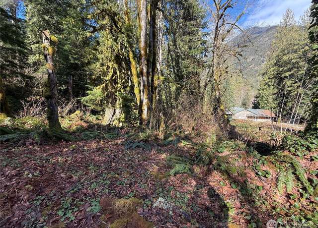 Property at 0 High Ridge Dr, Marblemount, WA 98267