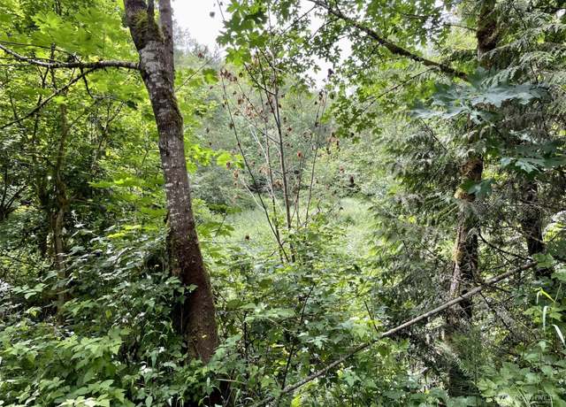 Property at 0 196th Ave E, Orting, WA 98360