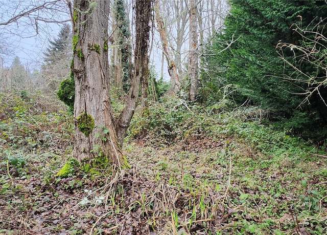 Property at 0 SE Southworth Dr, Port Orchard, WA 98384
