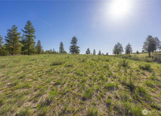Property at 1058 L0T #8 BLAZING STAR Ln, Chelan, WA 98816