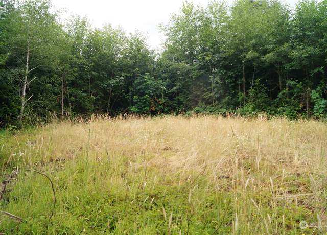 Property at 0 Off of Wynooche Wishkah Rd, Montesano, WA 98563