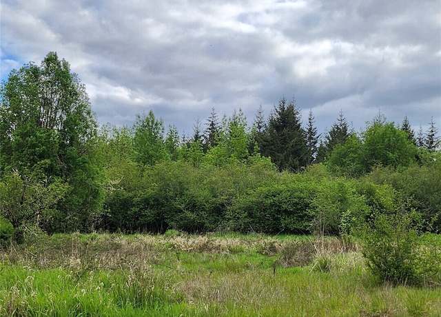 Property at 0 Henroit Rd, Toledo, WA 98591