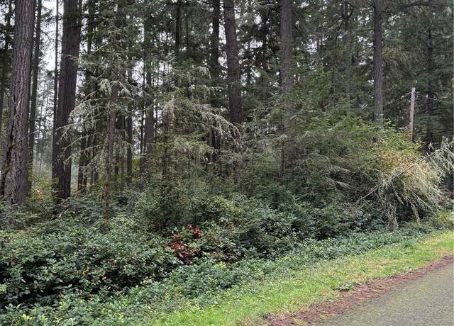 Property at 11416 & 11420 Hillcrest Ave, Anderson Island, WA 98303