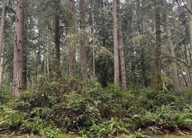 Property at 12708 Lovass Rd, Anderson Island, WA 98303