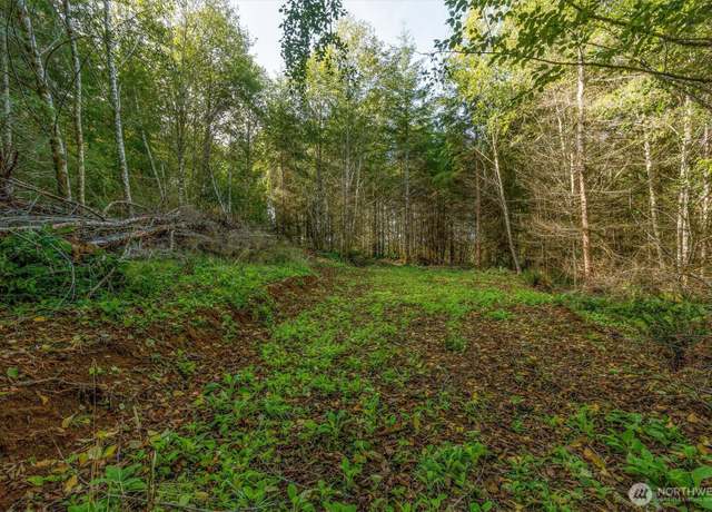 Property at 225 Deer Fern Ln, Longview, WA 98632