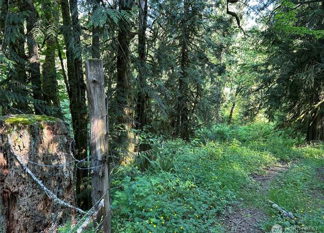 Property at 0 XXX Holcomb Rd, Kelso, WA 98626