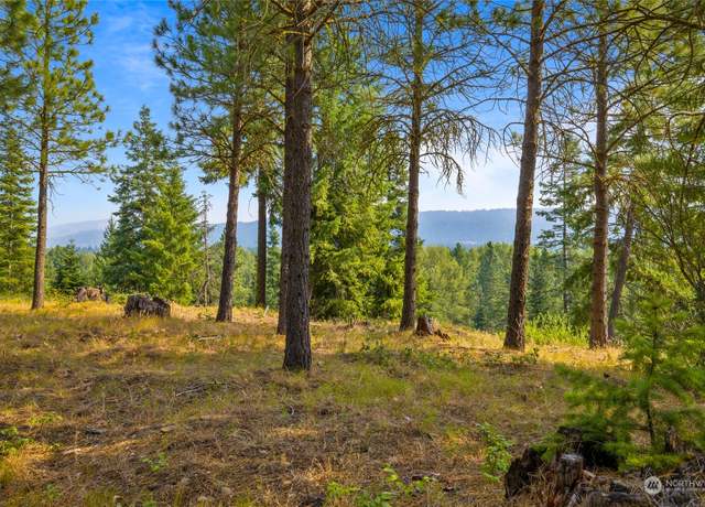 Property at 46 Southern Star Ln, Cle Elum, WA 98922