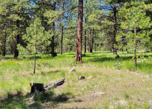Property at 374 Bench Creek Rd, Tonasket, WA 98855