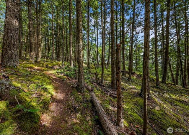 Property at 3073 Hales Passage Dr, Lummi Island, WA 98262