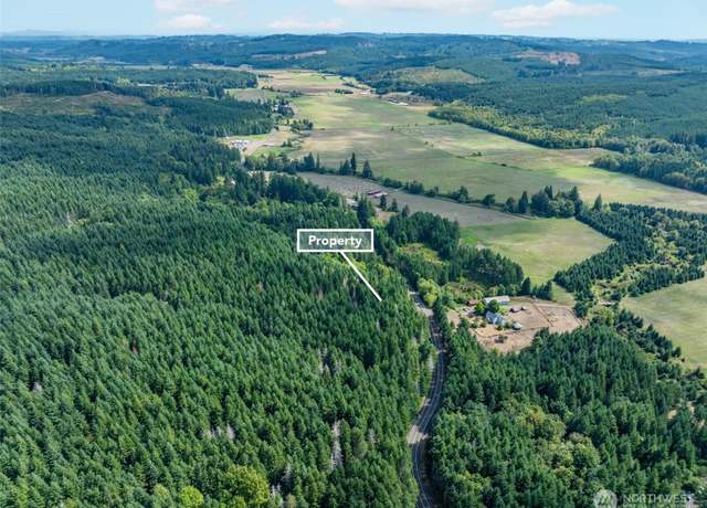 Property at 0 Lincoln Creek Rd, Rochester, WA 98579