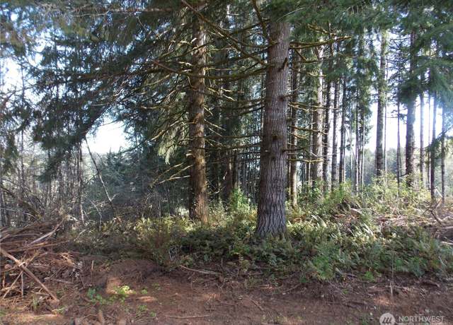 Property at 0 Laura St, Pe Ell, WA 98572