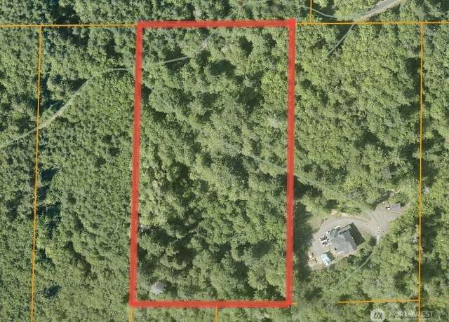Property at 80 Cougar Hills Ln, Montesano, WA 98563