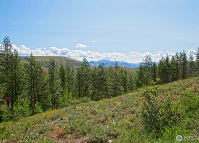 Property at 0 LOT 70 Whitebark Ln, Winthrop, WA 98862