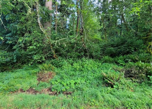 Property at 12726 96th Street Ct, Anderson Island, WA 98303
