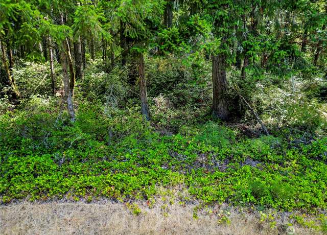 Property at 10205 Eckenstam Johnson Rd, Anderson Island, WA 98303
