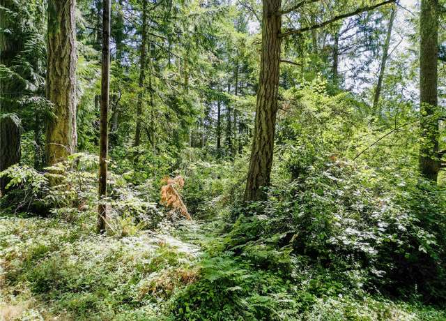 Property at 12212 Sound Dr, Anderson Island, WA 98303