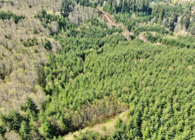 Property at 0 Off of State Route 107, Montesano, WA 98563