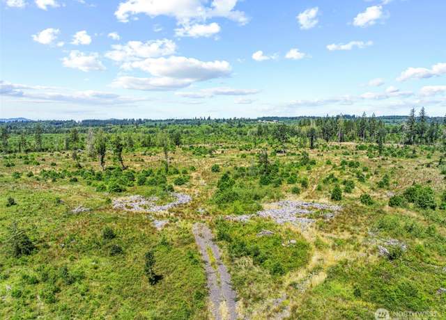 Property at 0 Sareault Rd, Toledo, WA 98591