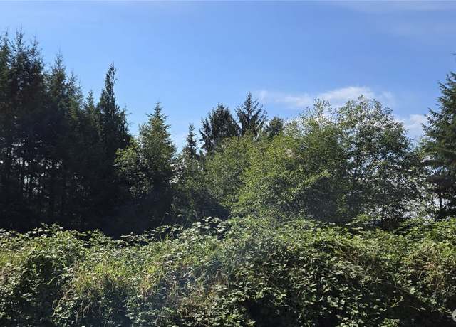 Property at 0 Fairview Ct, Montesano, WA 98563