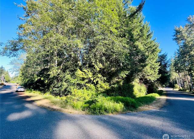 Property at 321 E Ballycastle Way, Shelton, WA 98584