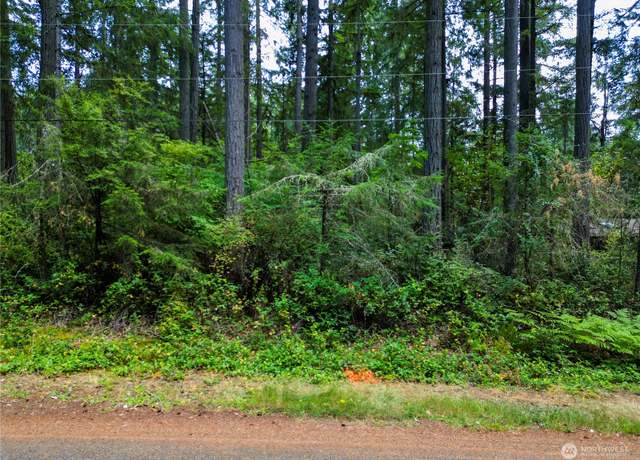 Property at 11408 Laurel Pl, Anderson Island, WA 98303