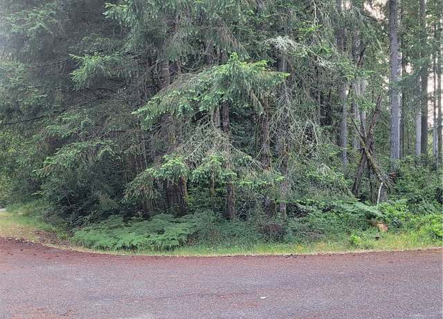 Property at 8922 129th Avenue Ct, Anderson Island, WA 98303