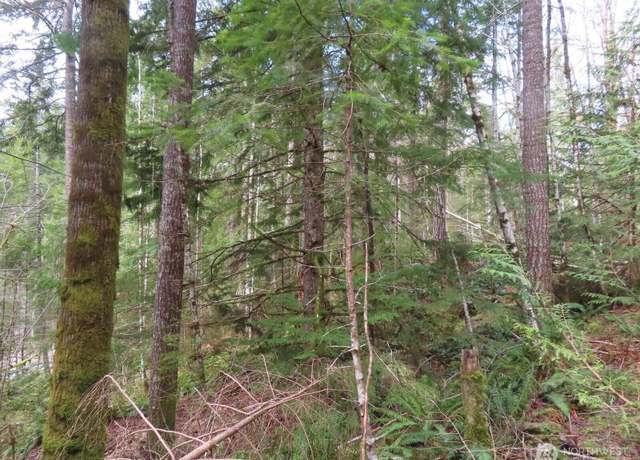 Property at 0 XXX N Lake Cushman Rd, Hoodsport, WA 98548