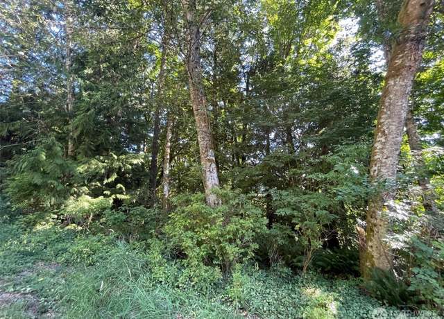 Property at 0 Peak Dr, Sedro Woolley, WA 98284