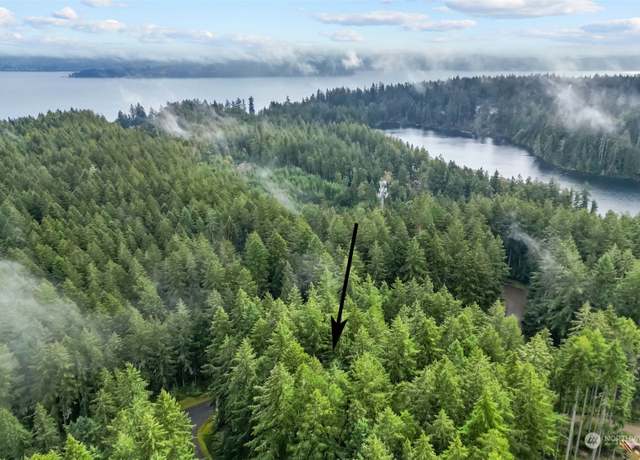 Property at 11025 Admiralty Way, Anderson Island, WA 98303