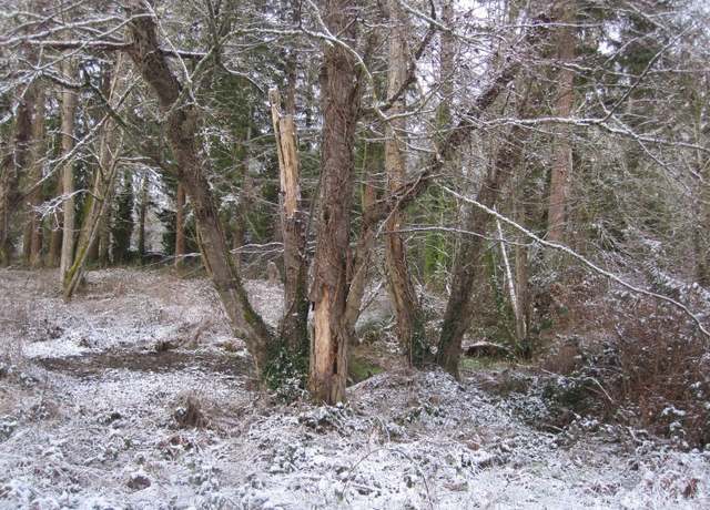 Property at 35750 Military Rd S, Auburn, WA 98001