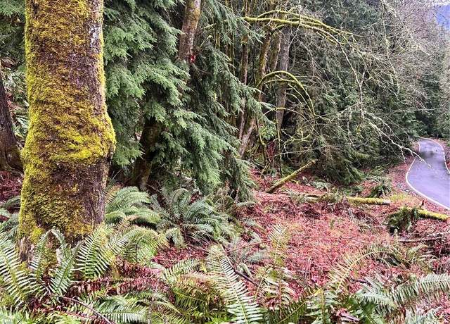 Property at 34 Green Hill Rd, Bellingham, WA 98229