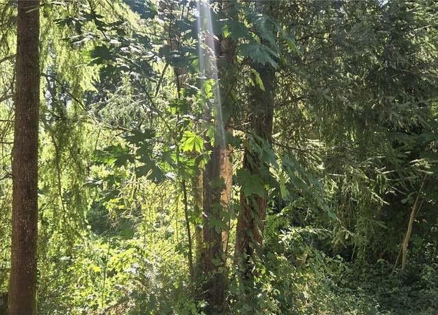 Property at 0 Highland Dr, Montesano, WA 98563