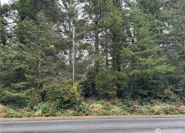 Property at 0 Vernon Ave, Ocean Park, WA 98640