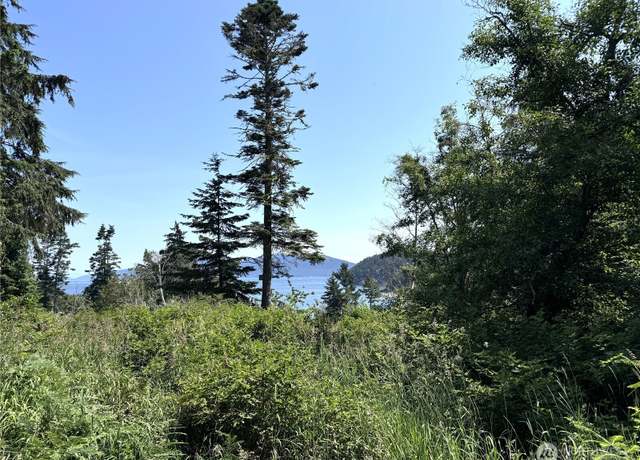 Property at 0 Davis Beach Rd, Decatur Island, WA 98221
