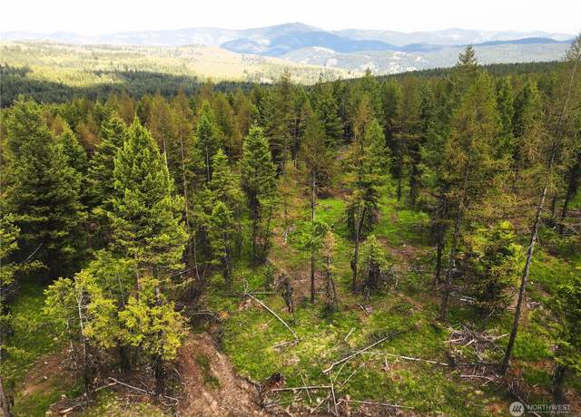 Property at 247 xx Prior Loop Rd, Oroville, WA 98844