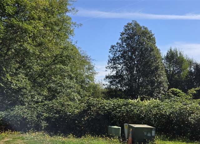 Property at 0 Val Vista Dr, Montesano, WA 98563