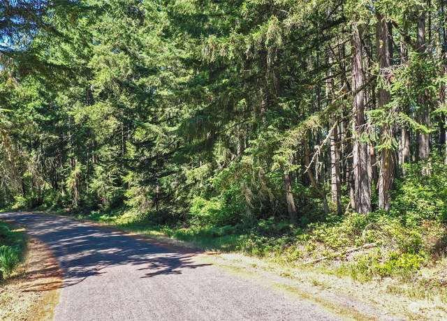 Property at 11004 Spruce Dr, Anderson Island, WA 98303