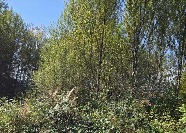 Property at 0 Fairview Ct, Montesano, WA 98563