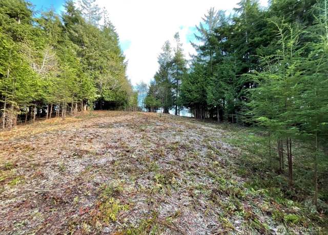 Property at 29 Spruce Ct, South Bend, WA 98586