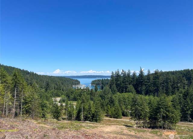 Property at 3 XXXX Mt Jupiter Rd, Brinnon, WA 98320