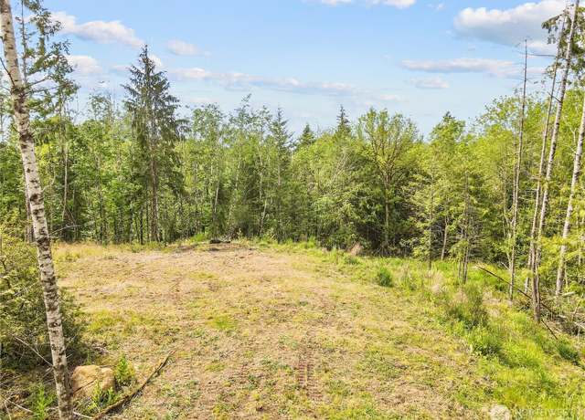 Property at 120 E Cascara Cove Ln, Shelton, WA 98584