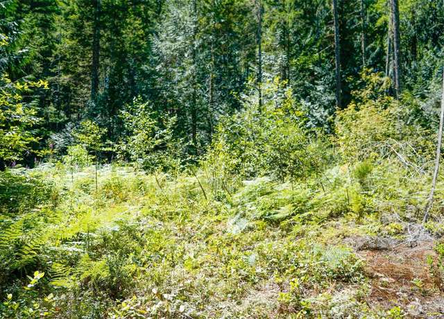 Property at 0 N Robinson Rd, Hoodsport, WA 98548