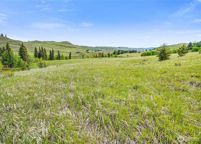 Property at 111 Moose Mountain Rd, Oroville, WA 98844