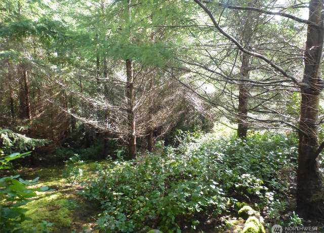 Property at 96 woodhaven Ln, Lopez Island, WA 98261